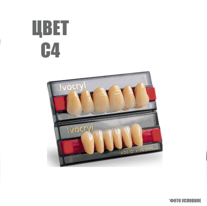 Изображение Зубы искусственные фронтальные верхние Ivoclar Set of 6 U OK26, цвет C4 1 из 1