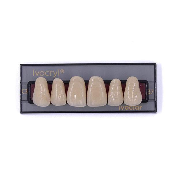 Изображение Зубы искуственные фронтальные верхние Ivocryl Set of 6 U OK37 C3 1 из 1