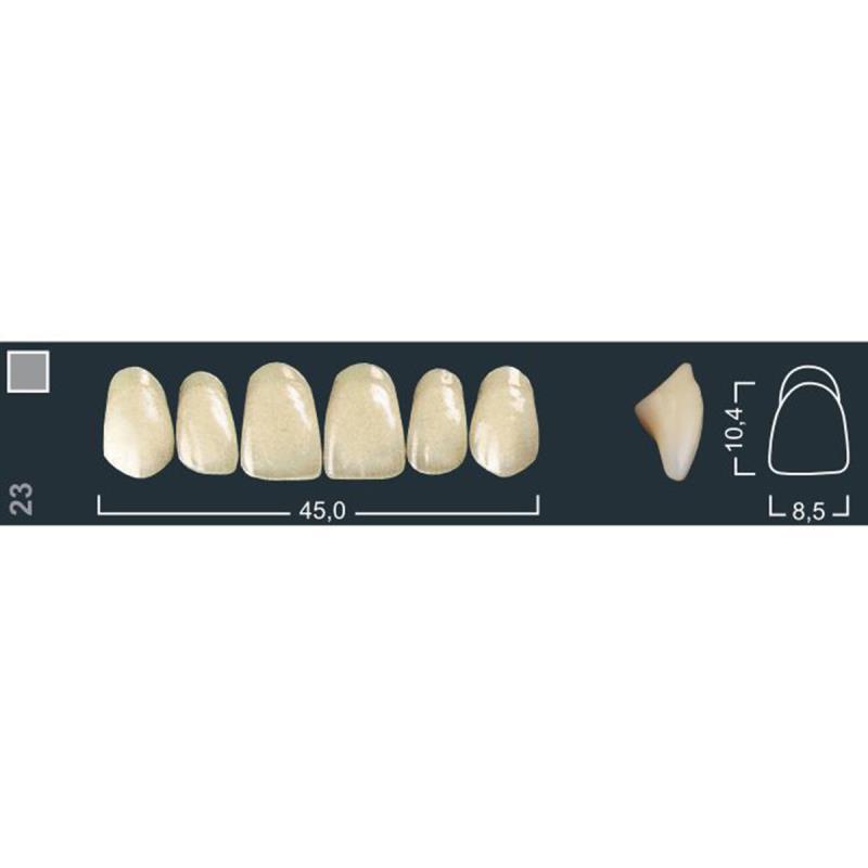 Изображение Зубы искуственные фронтальные верхние Ivocryl Set of 6 U OK37 A3,5 1 из 1