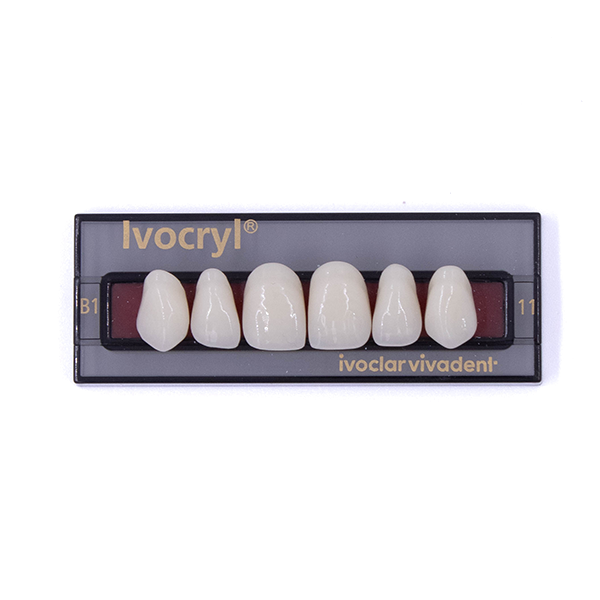 Изображение Зубы искуственные фронтальные верхние Ivocryl Set of 6 U OK11 В1 1 из 1