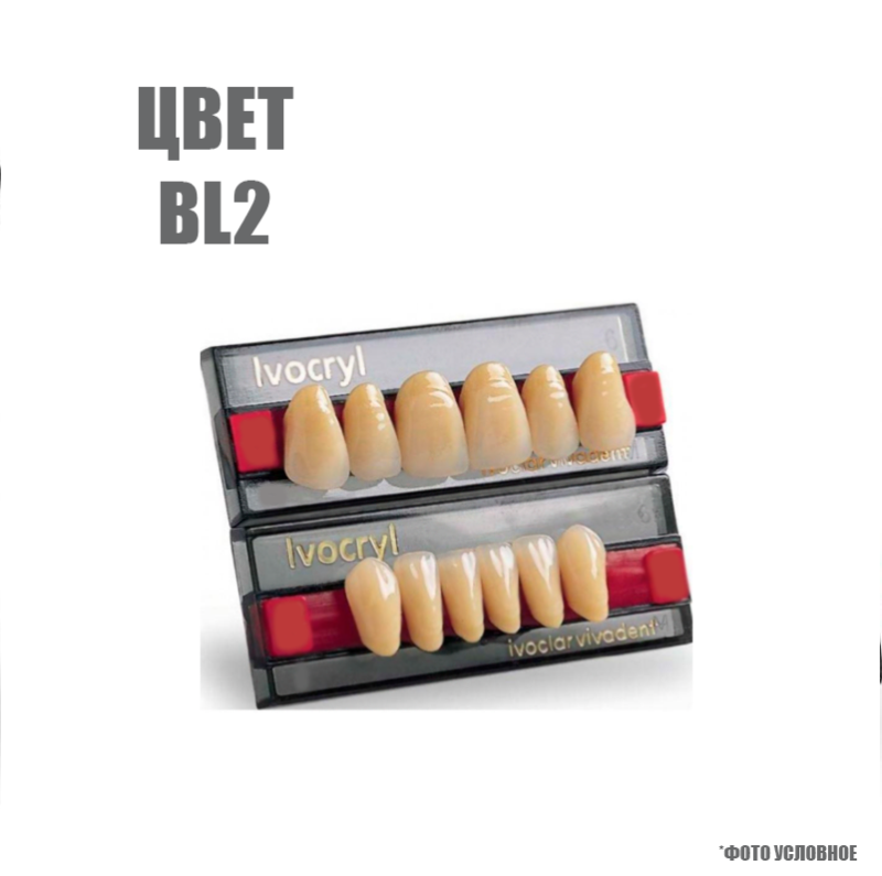 Изображение Зубы искусственные фронтальные верхние Ivoclar Set of 6 L UK53, цвет ВL2 1 из 1