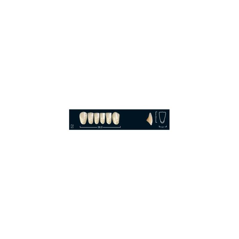 Изображение Зубы искуственные фронтальные нижние Ivocryl Set of 6 L UK52 A2 1 из 1
