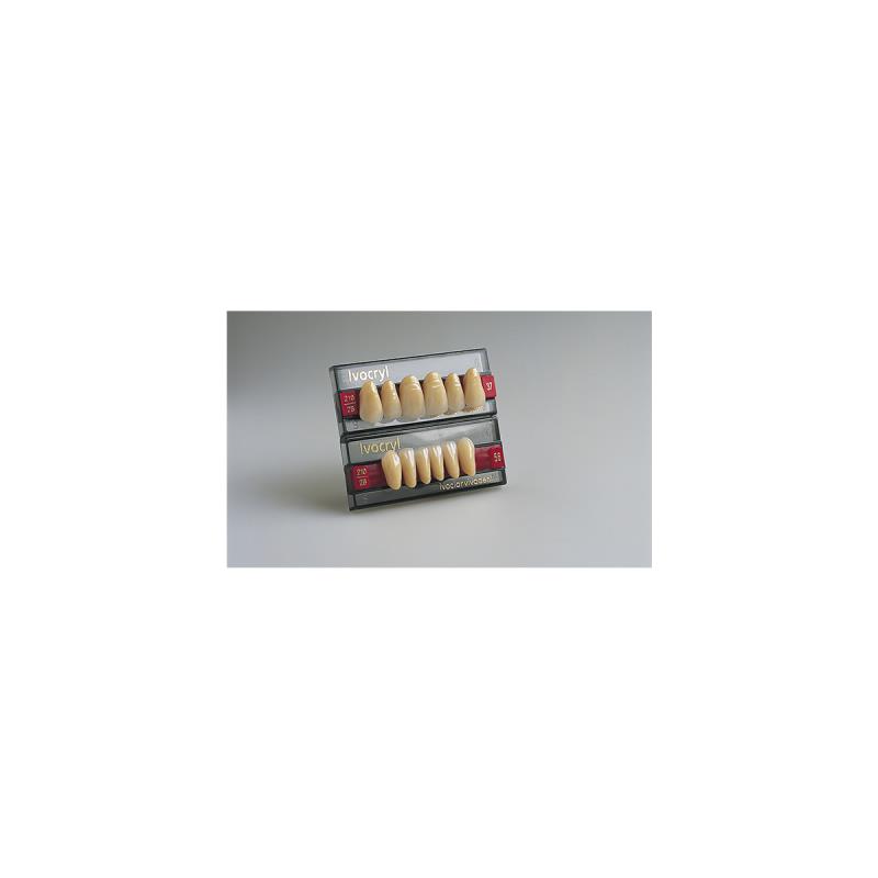 Изображение Зубы искуственные фронтальные нижние Ivocryl Set of 6 L UK57 A1 1 из 1
