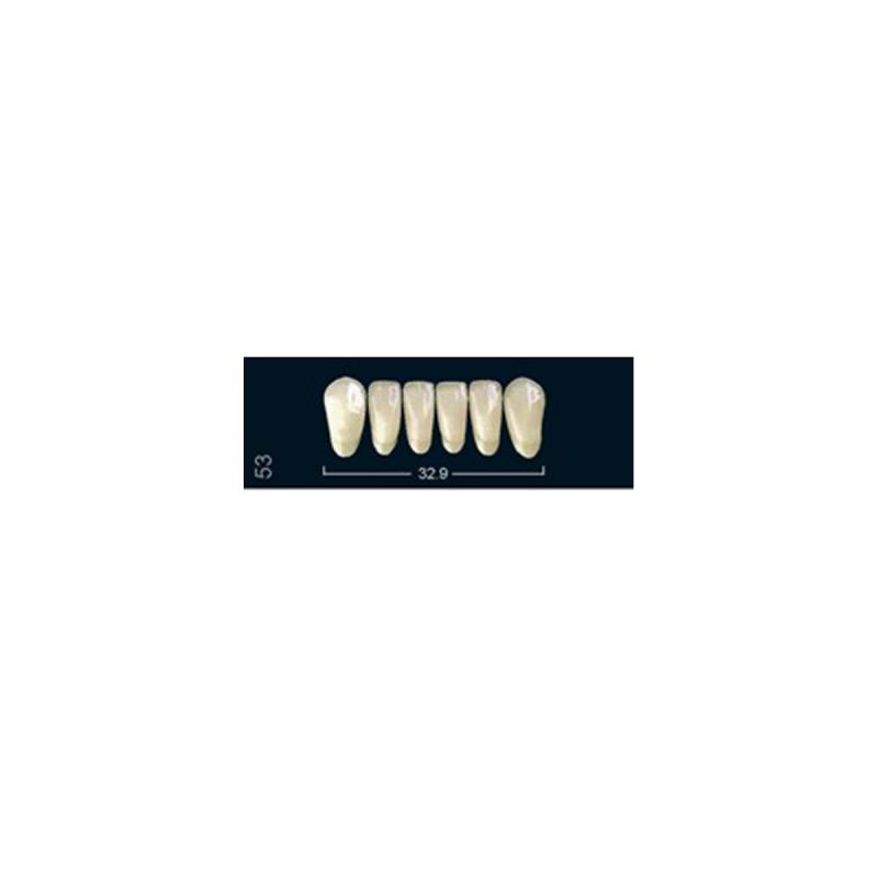 Изображение Зубы искуственные фронтальные нижние Ivocryl Set of 6 L UK53 A3 1 из 1