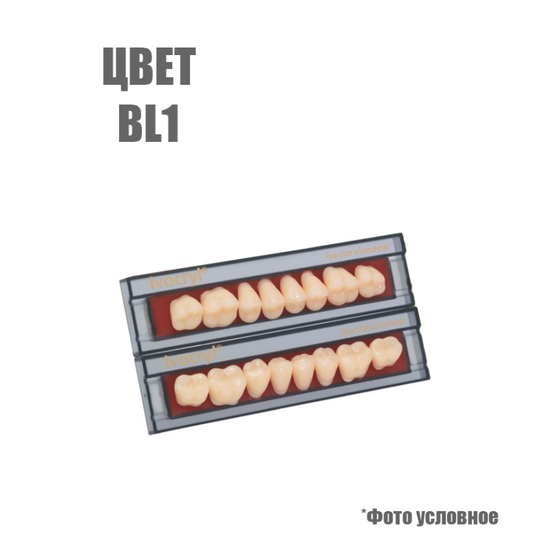 Изображение Зубы искусственные боковые верхние Ivoclar Set of 8 U OK32O, цвет BL1 1 из 1