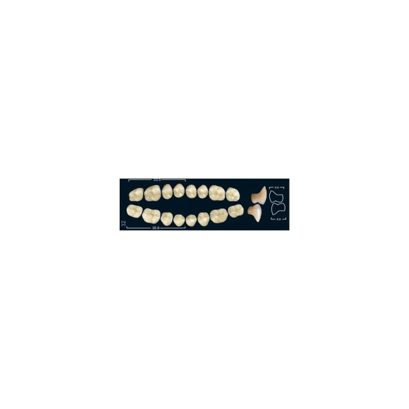Изображение Зубы искуственные боковые верхние Ivocryl Set of 8 U OK32O A1 1 из 1