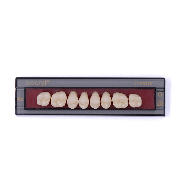 Изображение Зубы искуственные боковые верхние Ivocryl Set of 8 U OK28O A3 1 из 1