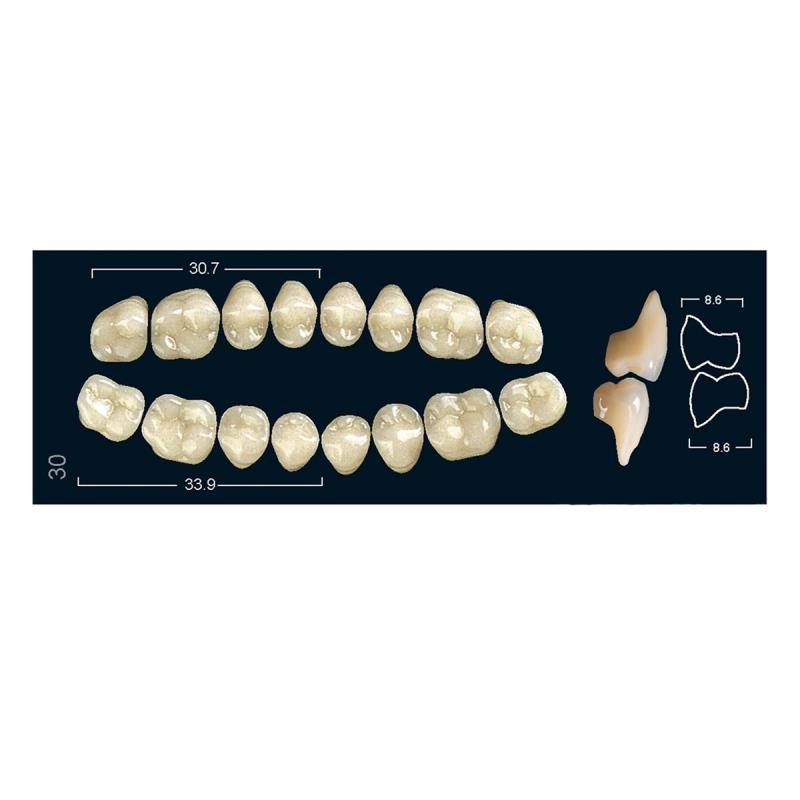 Изображение Зубы искуственные боковые верхние Ivocryl Set of 8 U OK30O A2 1 из 1