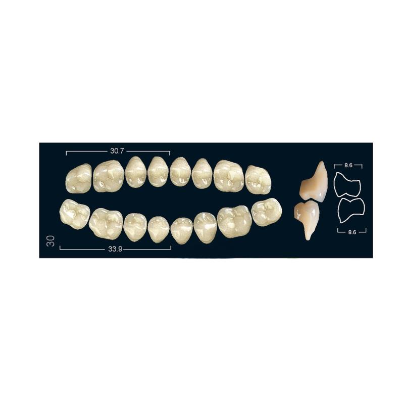 Изображение Зубы искуственные боковые верхние Ivocryl Set of 8 U OK30O A3 1 из 1