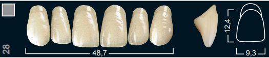 Изображение Зубы искуственные боковые верхние Ivocryl Set of 8 U OK32O A3 1 из 1