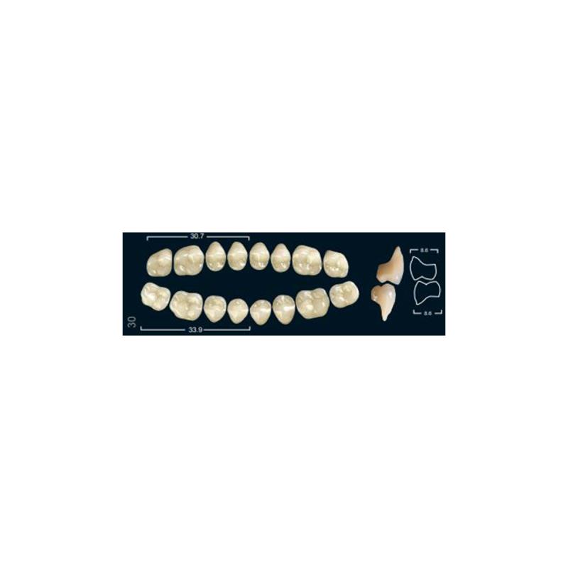 Изображение Зубы искуственные боковые верхние Ivocryl Set of 8 U OK30O A3,5 1 из 1