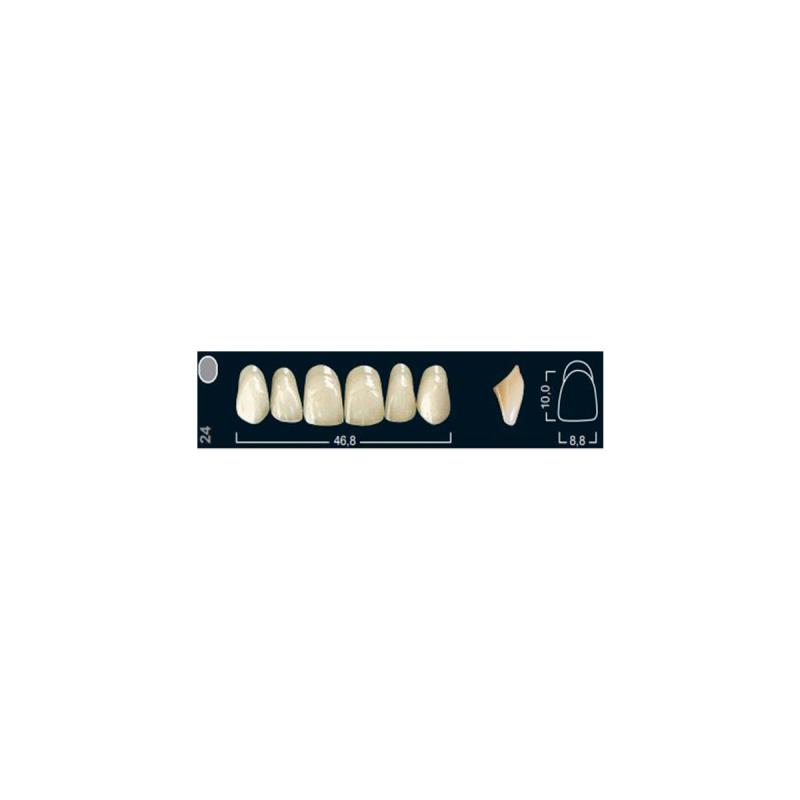 Изображение Зубы искуственные боковые нижние Ivocryl Set of 8 L UK32U A1 1 из 1