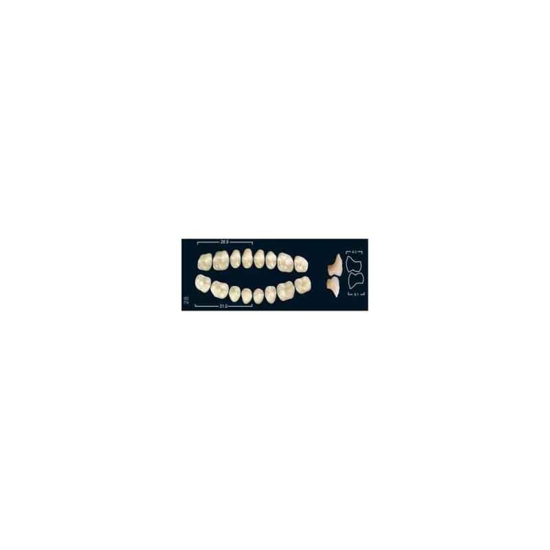 Изображение Зубы искуственные боковые нижние Ivocryl Set of 8 L UK28U A3 1 из 1