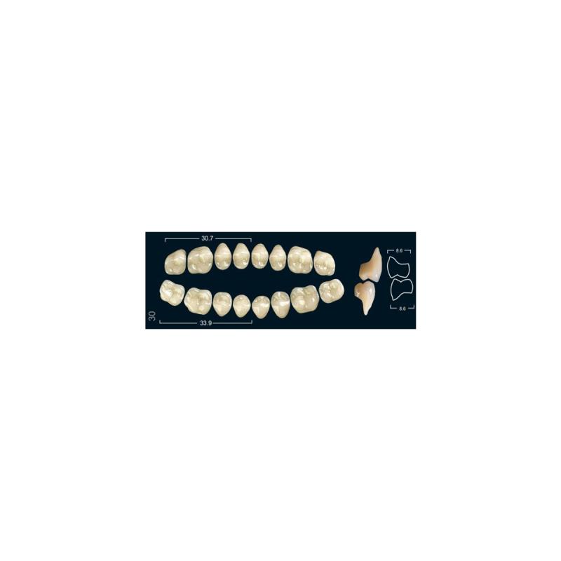 Изображение Зубы искуственные боковые нижние Ivocryl Set of 8 L UK30U A1 1 из 1