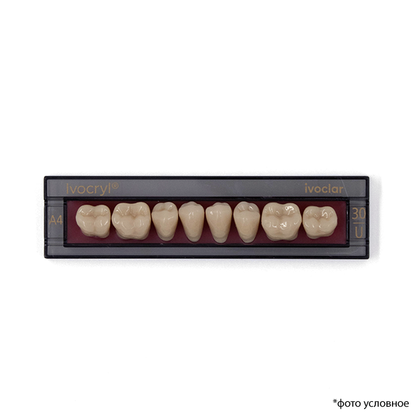 Изображение Зубы Ivocryl Set of 8 L UK30U оттенок A4, искуственные боковые, нижние, 8шт. 1 из 4