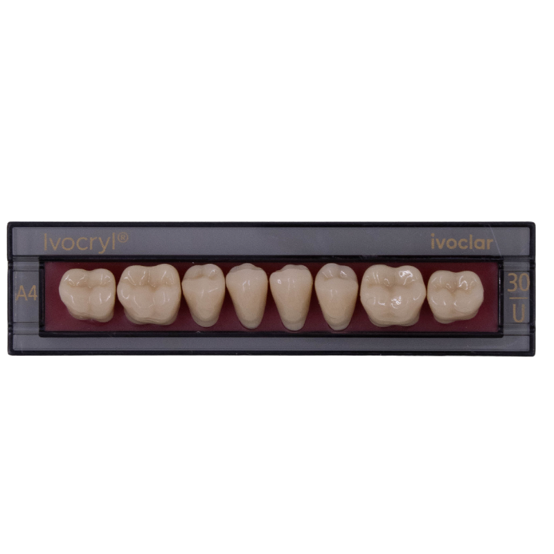 Изображение Зубы Ivocryl Set of 8 L UK30U оттенок A4, искуственные боковые, нижние, 8шт. 2 из 4