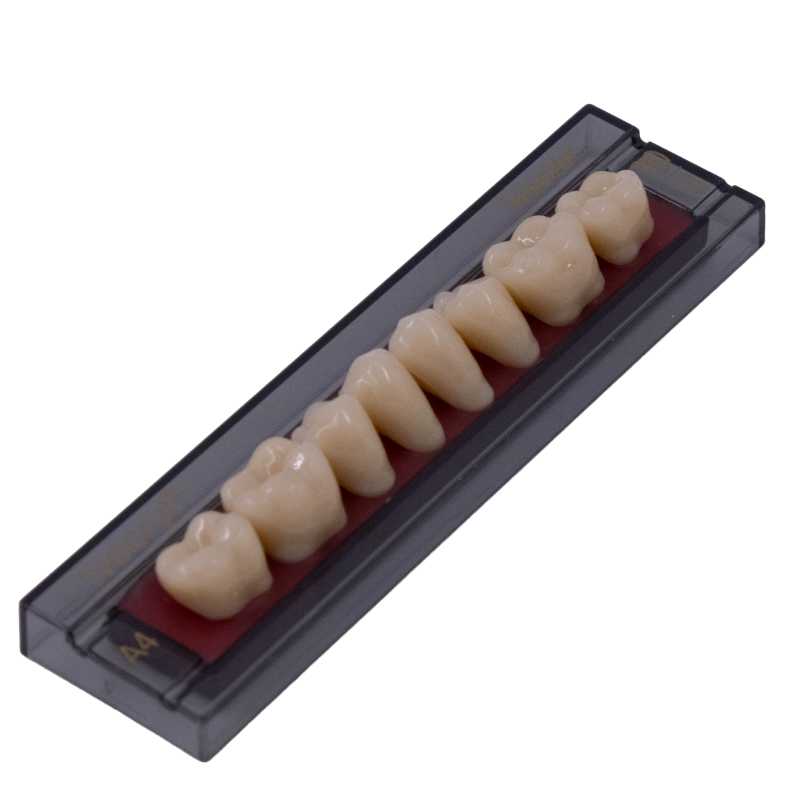 Изображение Зубы Ivocryl Set of 8 L UK30U оттенок A4, искуственные боковые, нижние, 8шт. 3 из 4