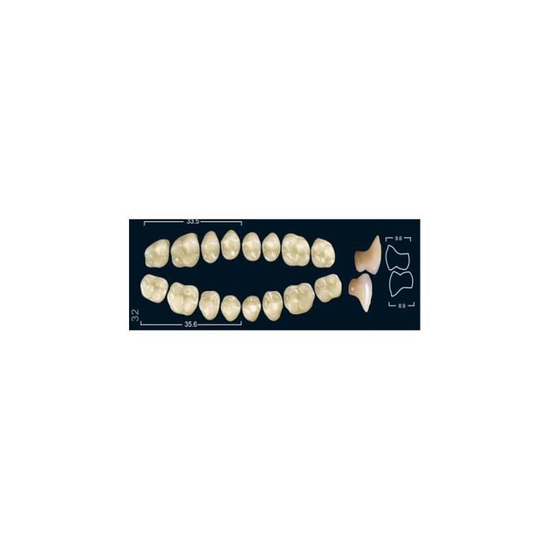 Изображение Зубы искуственные боковые нижние Ivocryl Set of 8 L UK32U A3 1 из 1