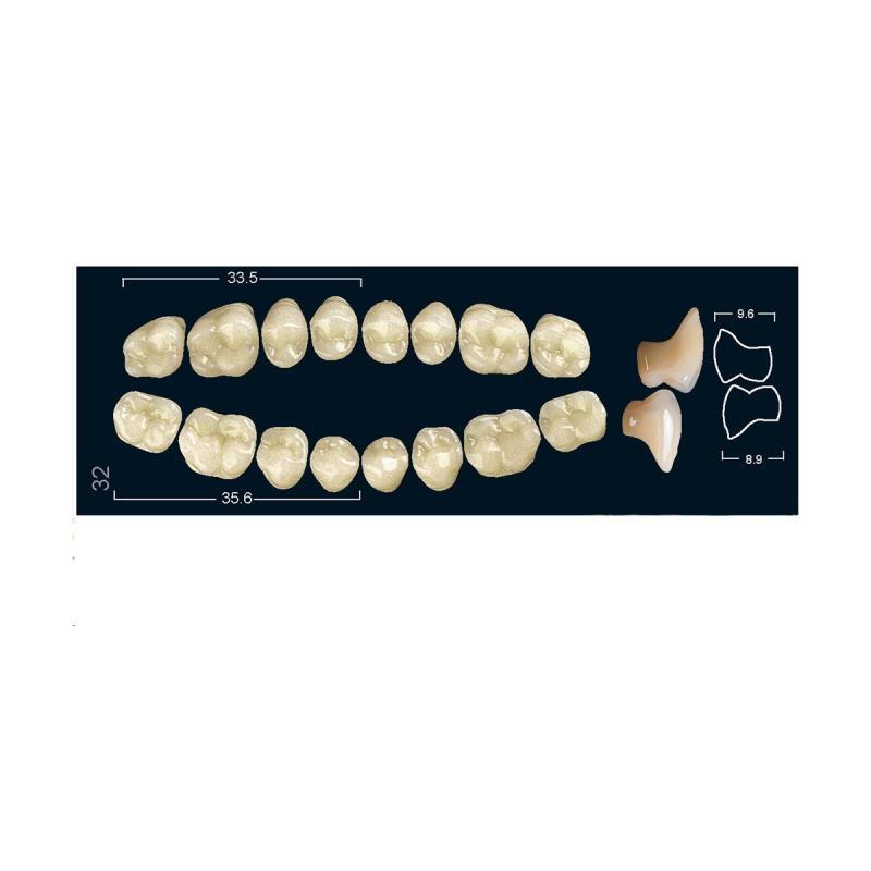 Изображение Зубы искуственные боковые нижние Ivocryl Set of 8 L UK32U A2 1 из 1