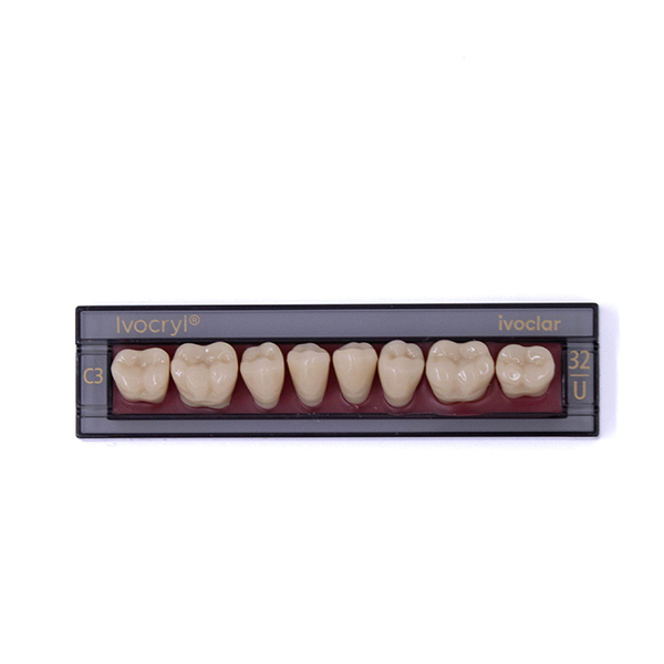Изображение Зубы искуственные боковые нижние Ivocryl Set of 8 L UK32U C3 1 из 1