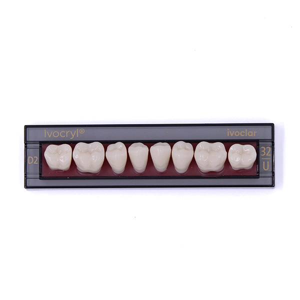 Изображение Зубы искуственные боковые нижние Ivocryl Set of 8 L UK32U D2 1 из 1