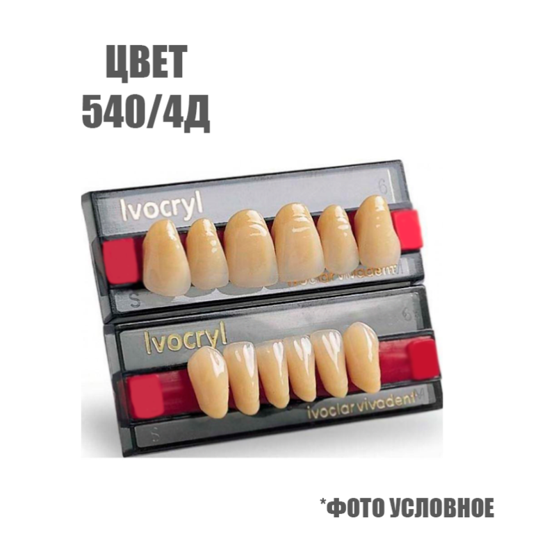 Изображение Зубы искусственные передние Set of 6 цвет 540/4Д, размер 03 1 из 1