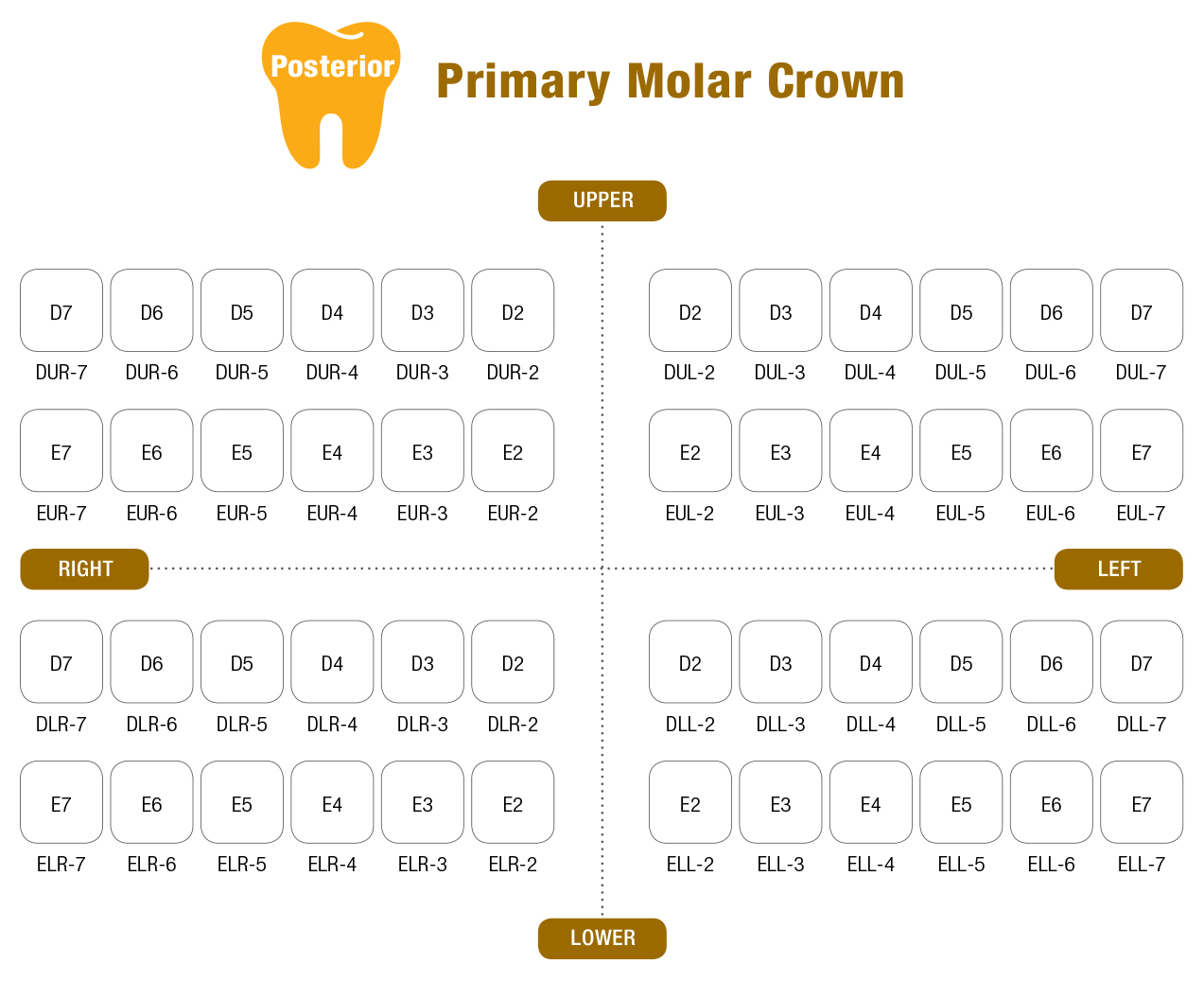 Изображение Коронки детские "I CROWN" DLL-5 первый нижний левый, временные, нержавеющая сталь, 5 шт в упаковке 2 из 2