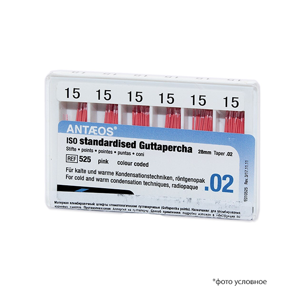 Изображение Штифты гуттаперчевые / Guttapercha Points 02 15/28мм  120шт 1 из 1