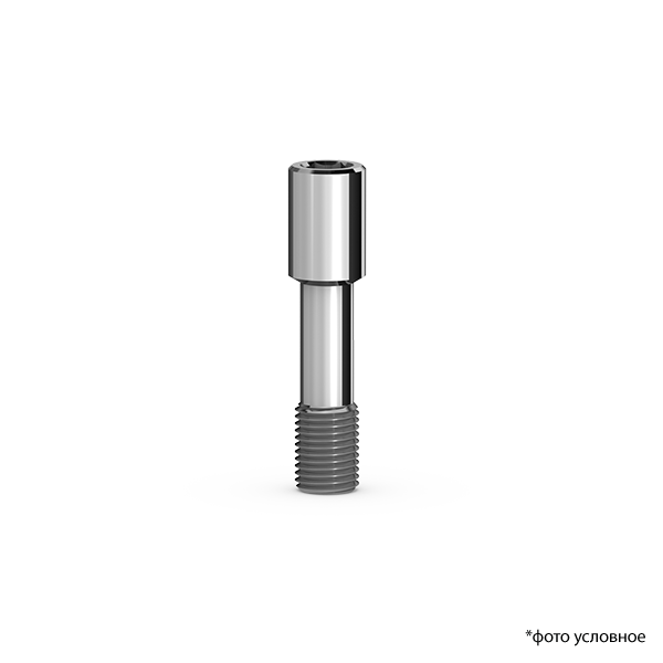 Изображение Винт короткий / Screw short Р3а-S 1 из 1