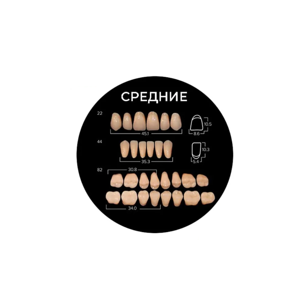 Изображение Зубы акриловые Анис, цвет А3, размер 82, жевательные низ, двухслойные, 20 гарнитуров 2 из 2