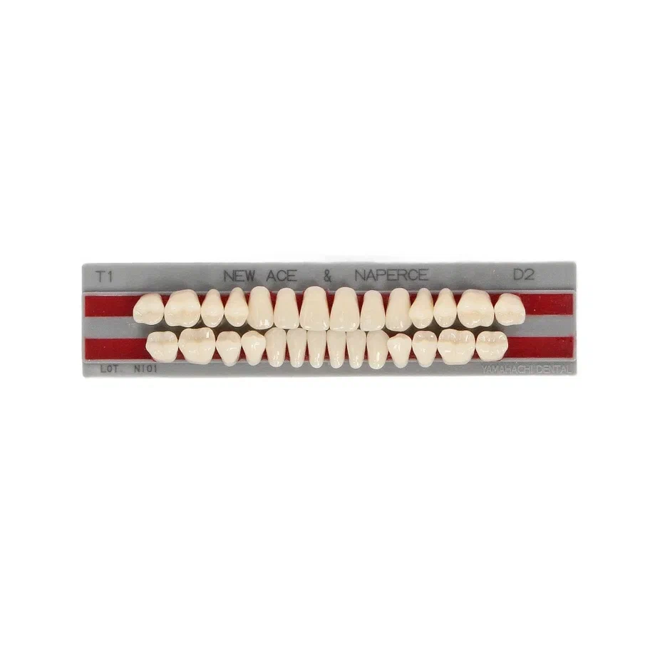 Изображение Зубы акриловые New Ace & Naperce цвет D2 фасон T1/M30 1 из 1
