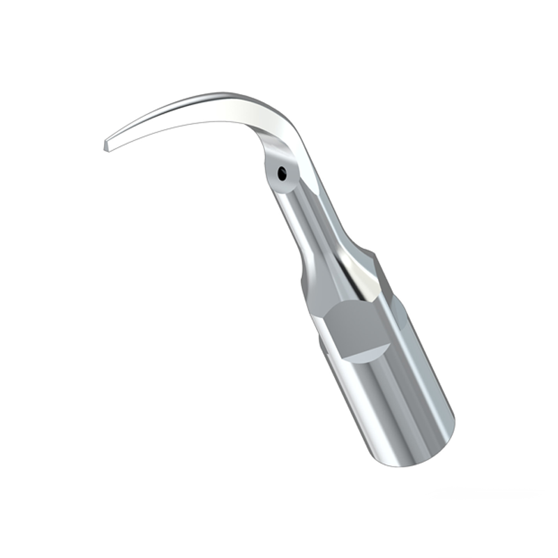 Изображение Насадка к скалеру P1